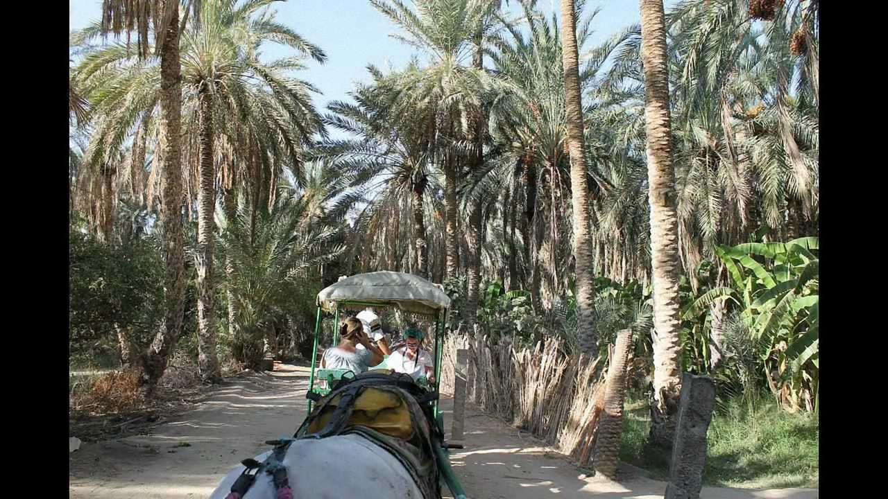 Dar Ezzahra Vila Tozeur Exterior foto